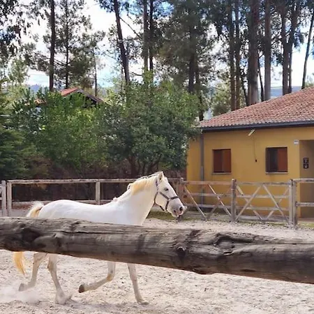 Casa Acacias *