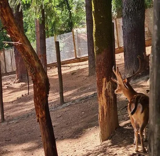 Casa Acacias * קאבקסיירס דה באסטו